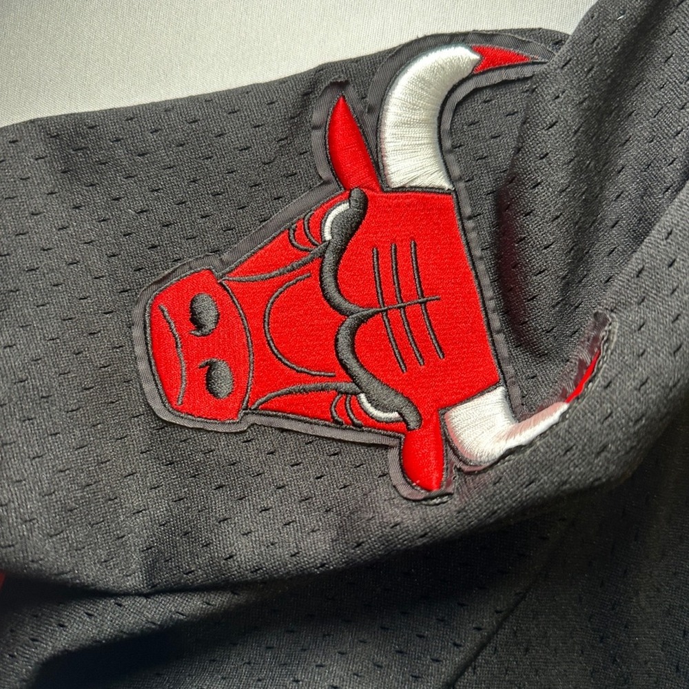 Pro Standard Chicago Bulls NBA Jersey 3XL Luxury Athletic Collection Champions - Picture 6 of 12